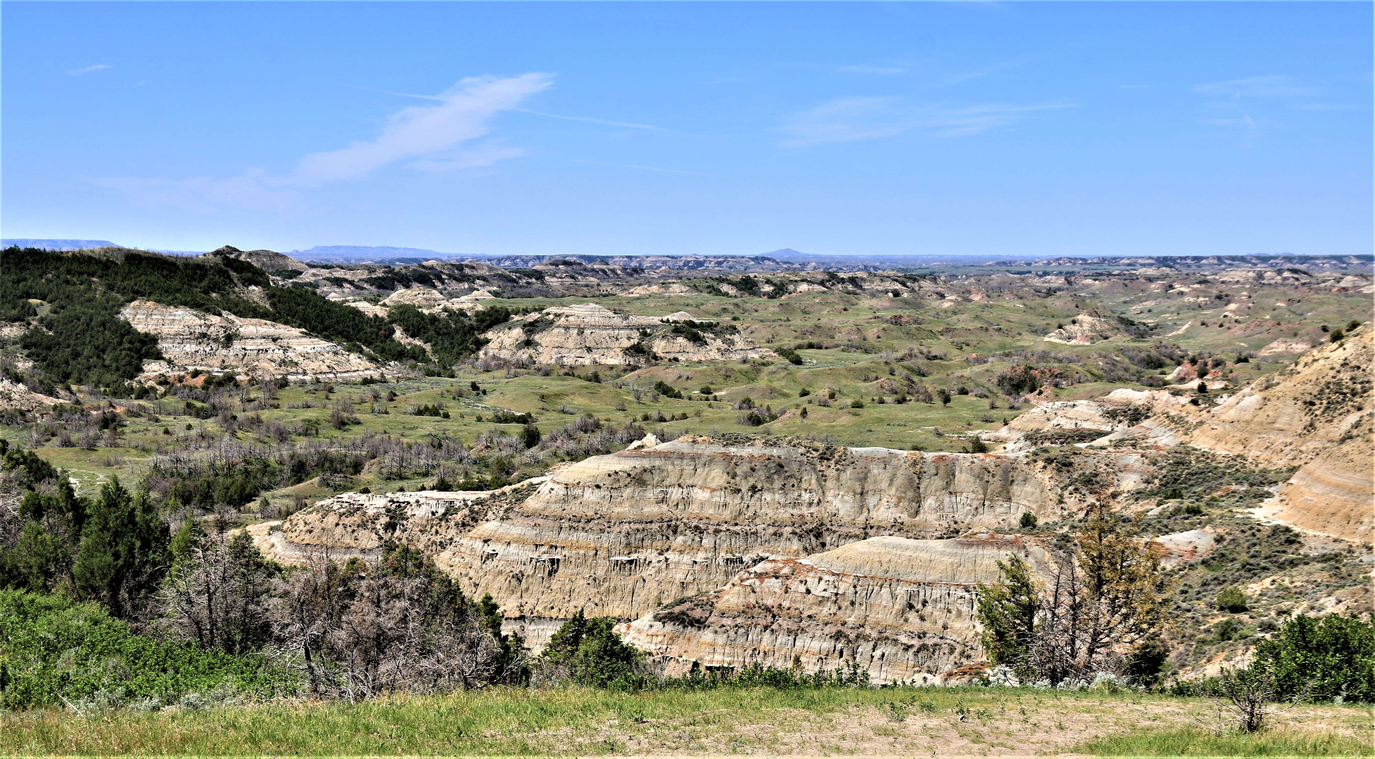 Theodore Roosevelt NP